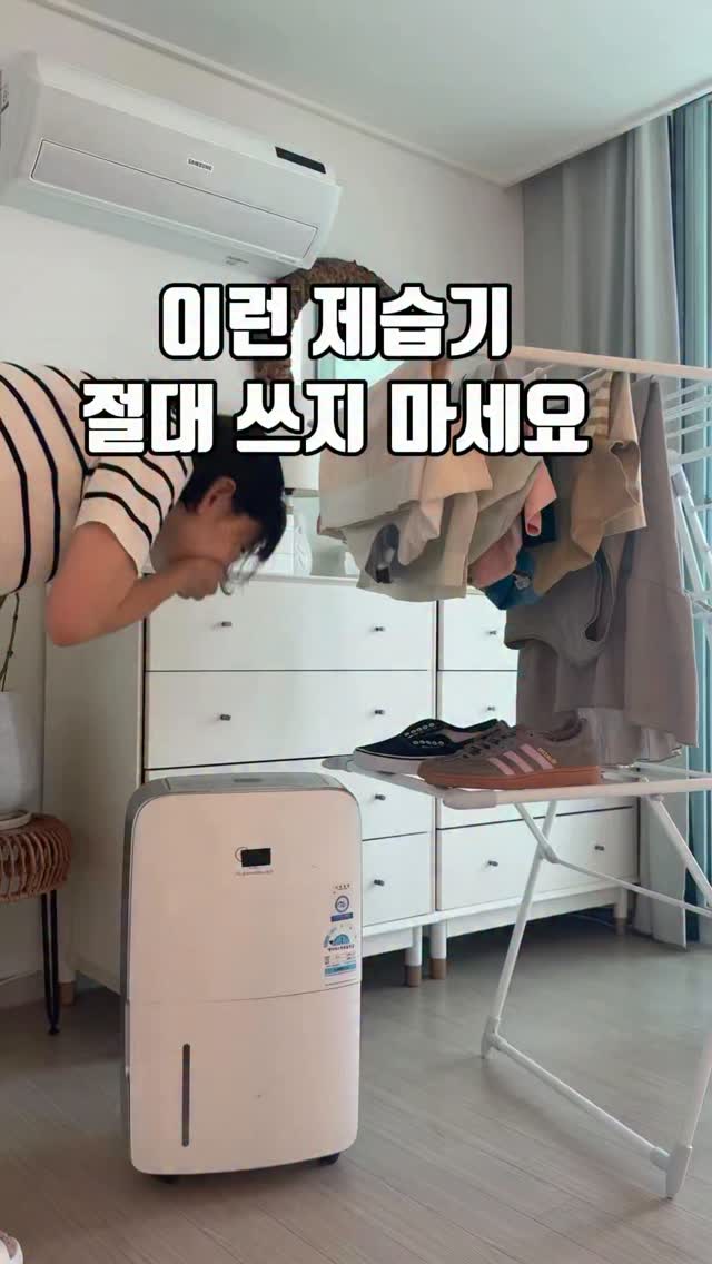 더앰플 02