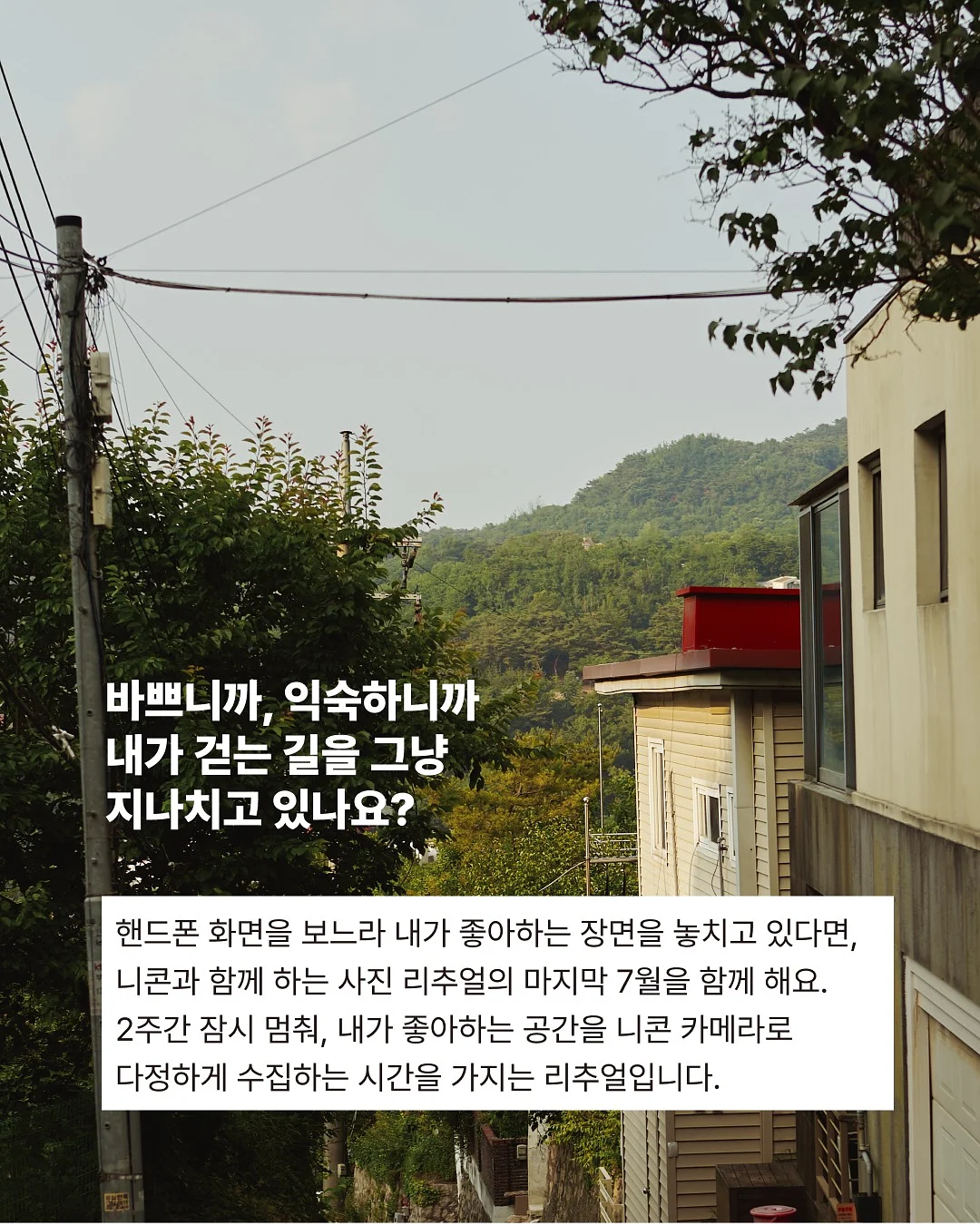 체크 셔츠 2