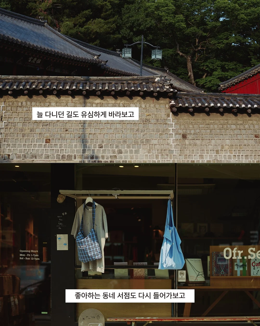 체크 셔츠 4