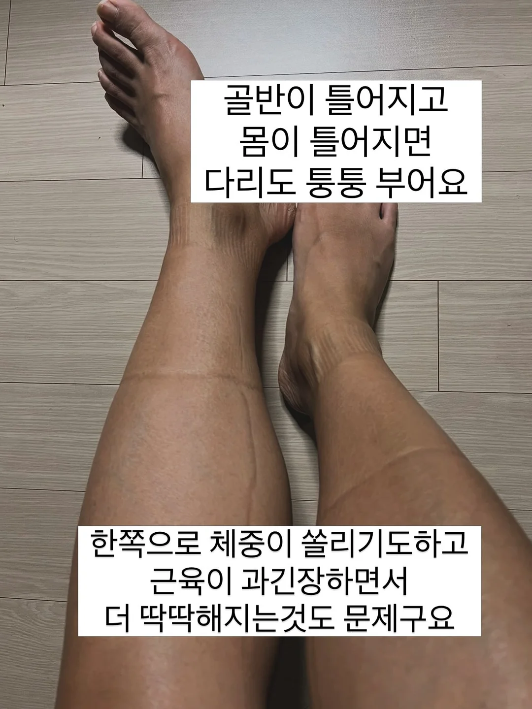 명월초 차 3