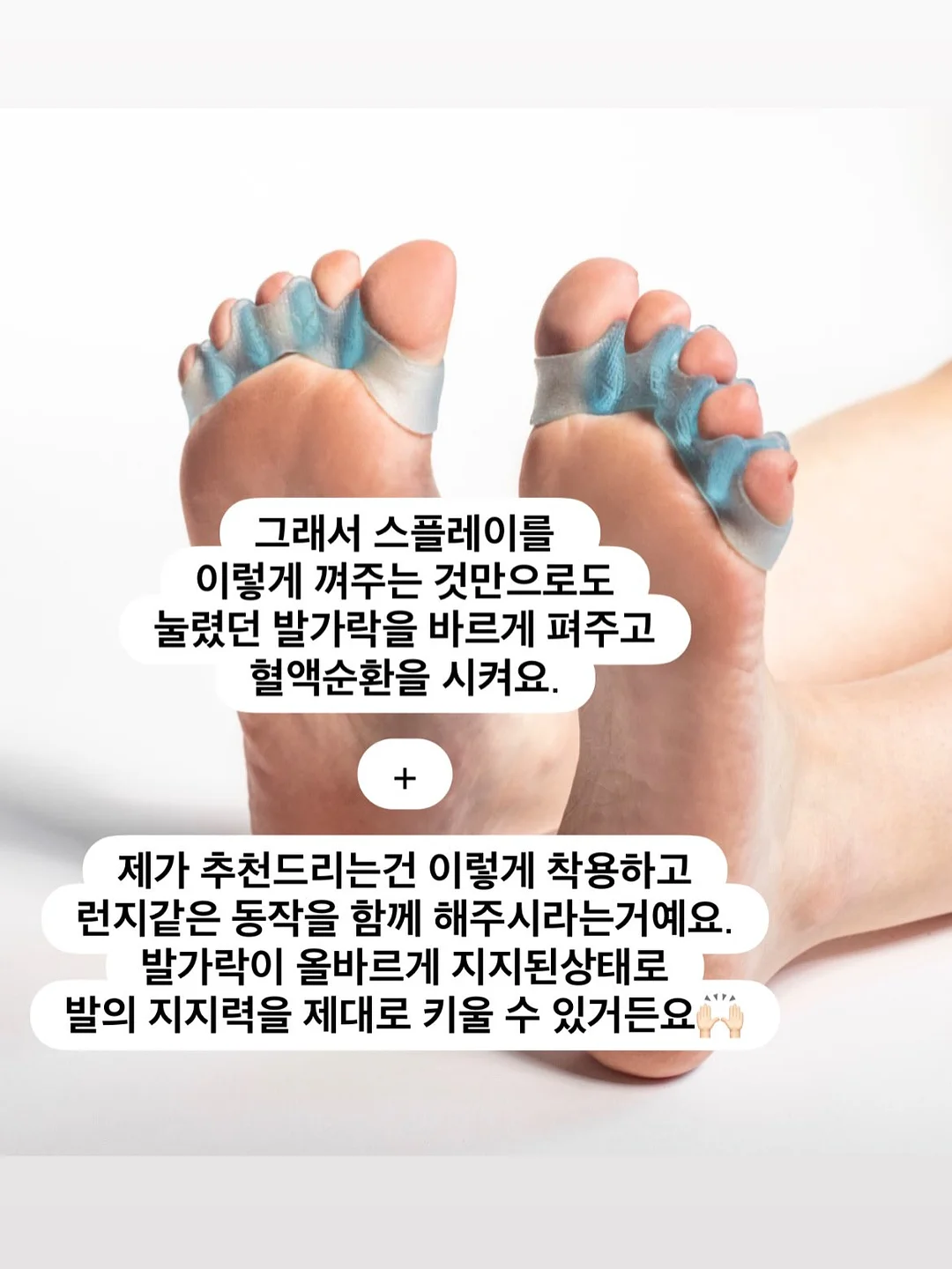 명월초 차 5