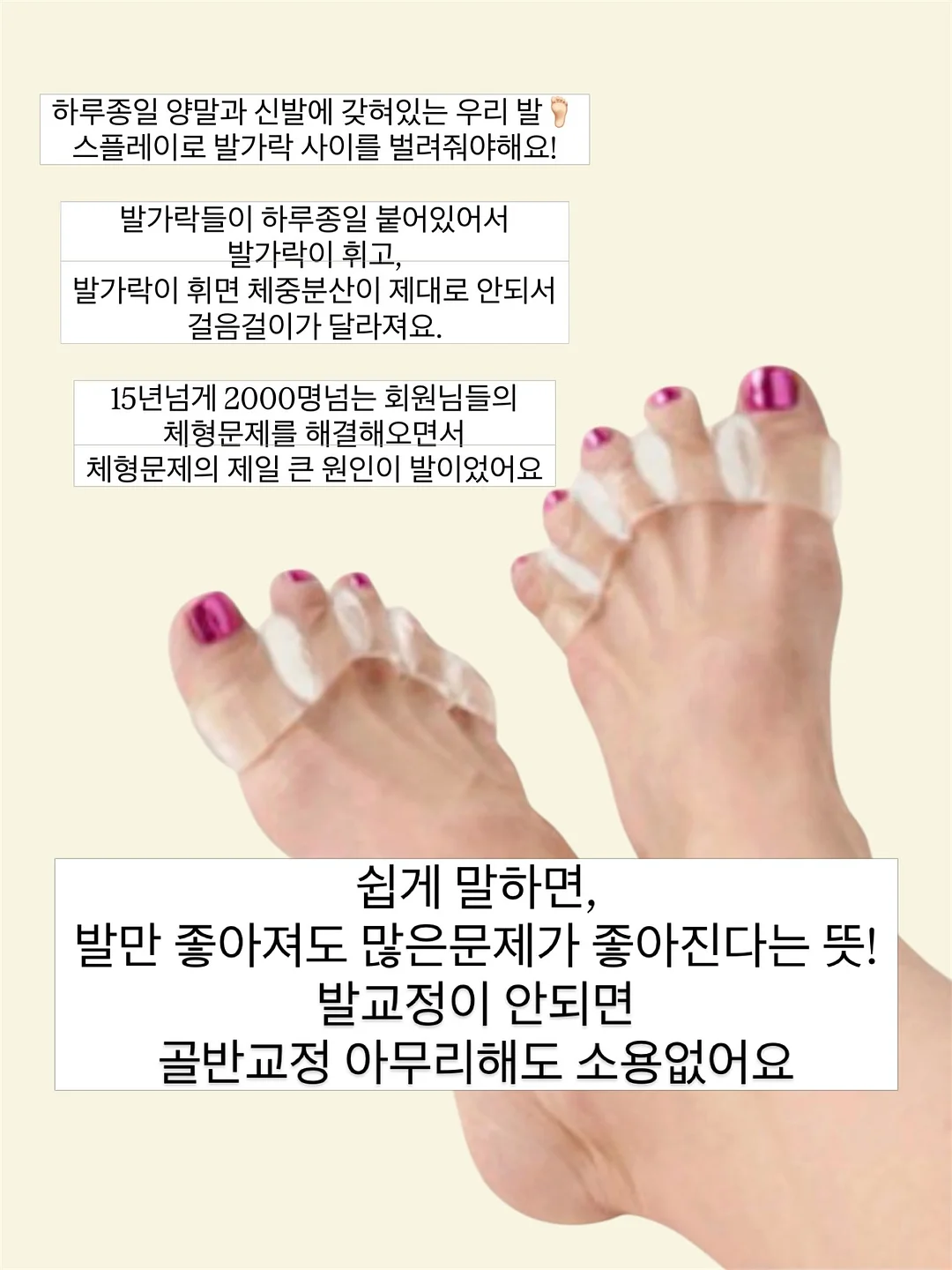 명월초 차 6