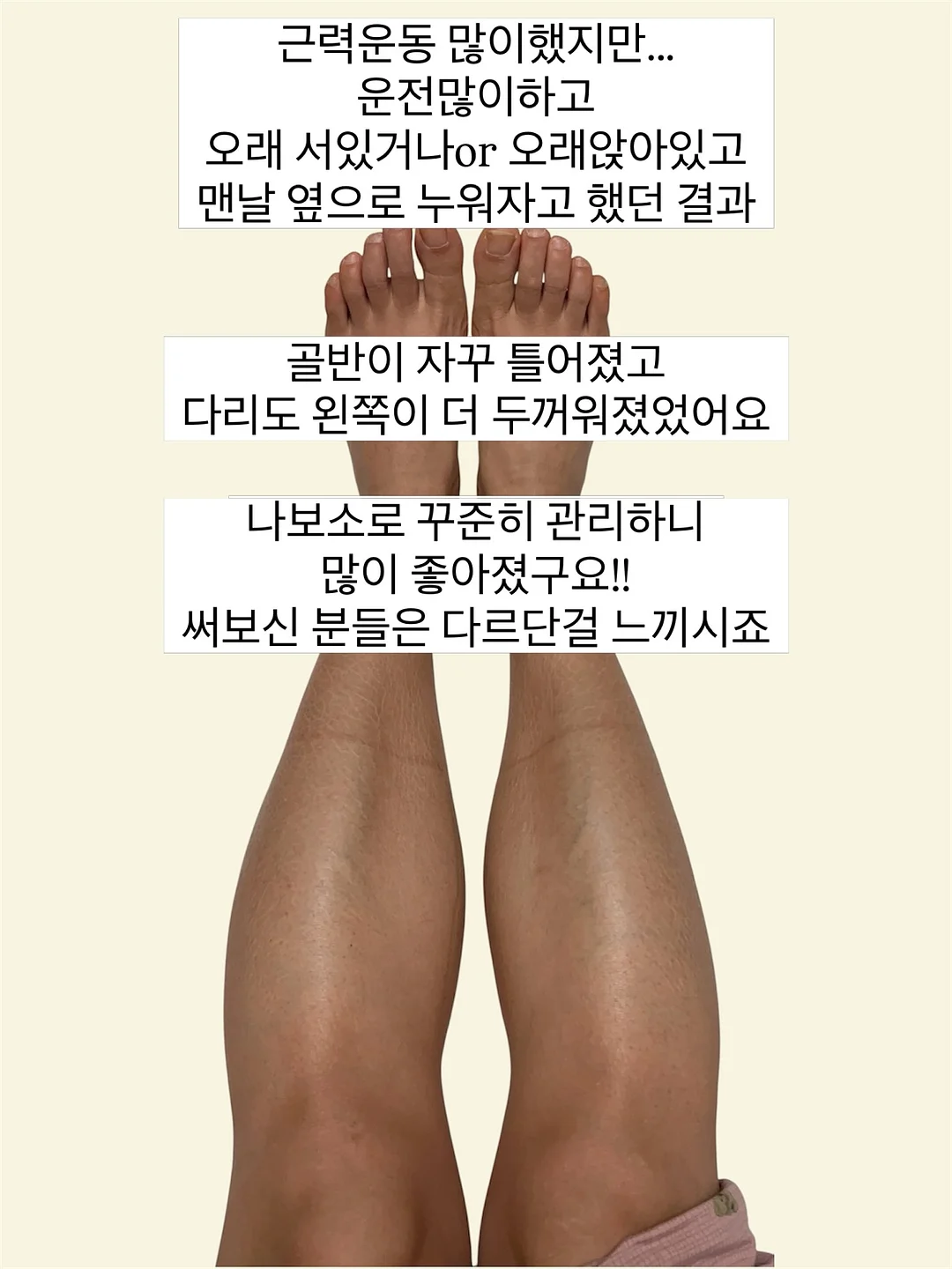 명월초 차 10
