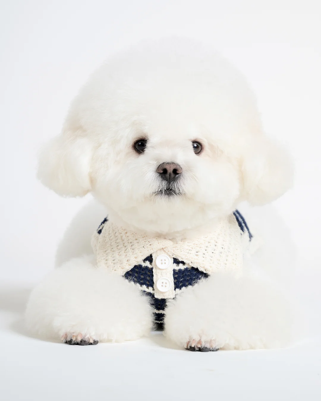 모제림 샴푸 2