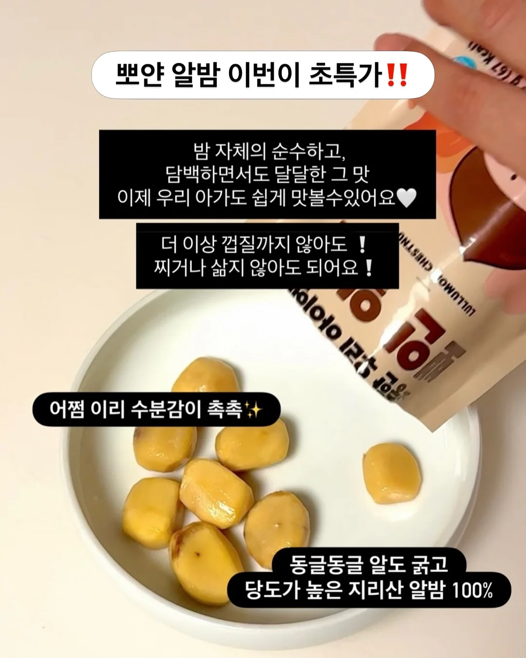 톨토이즈 귀걸이+목걸이 세트 6