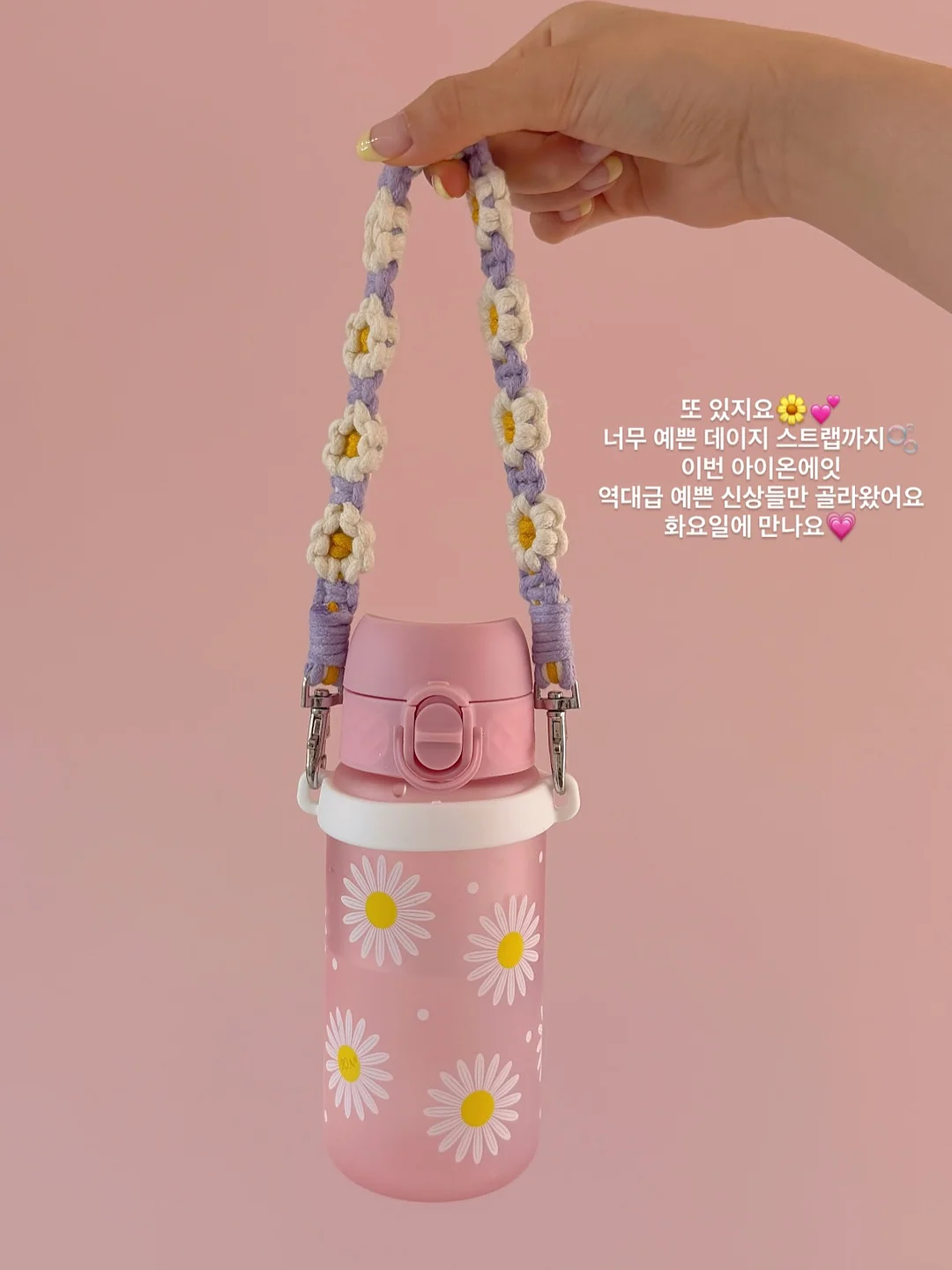 건강채비 호박앤효소 8