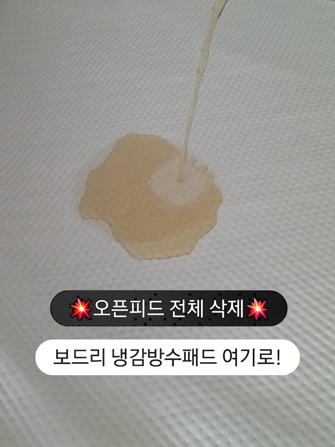 꿀토마토빙수
