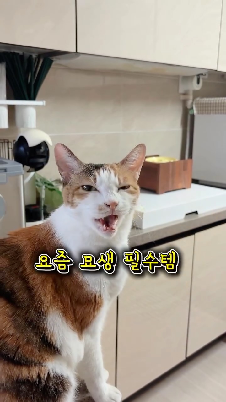 펠티어 쿨링 키트