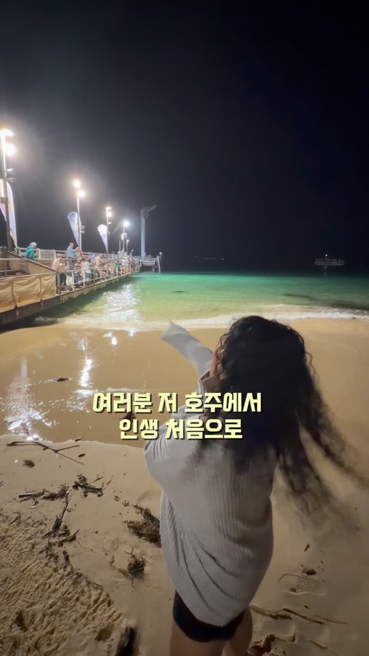 2026년 연애운 자료집