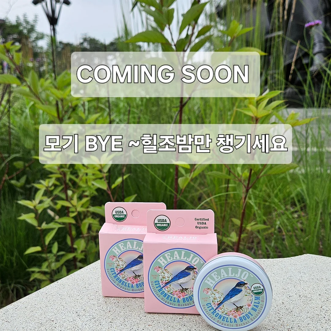 수익화 교육 1