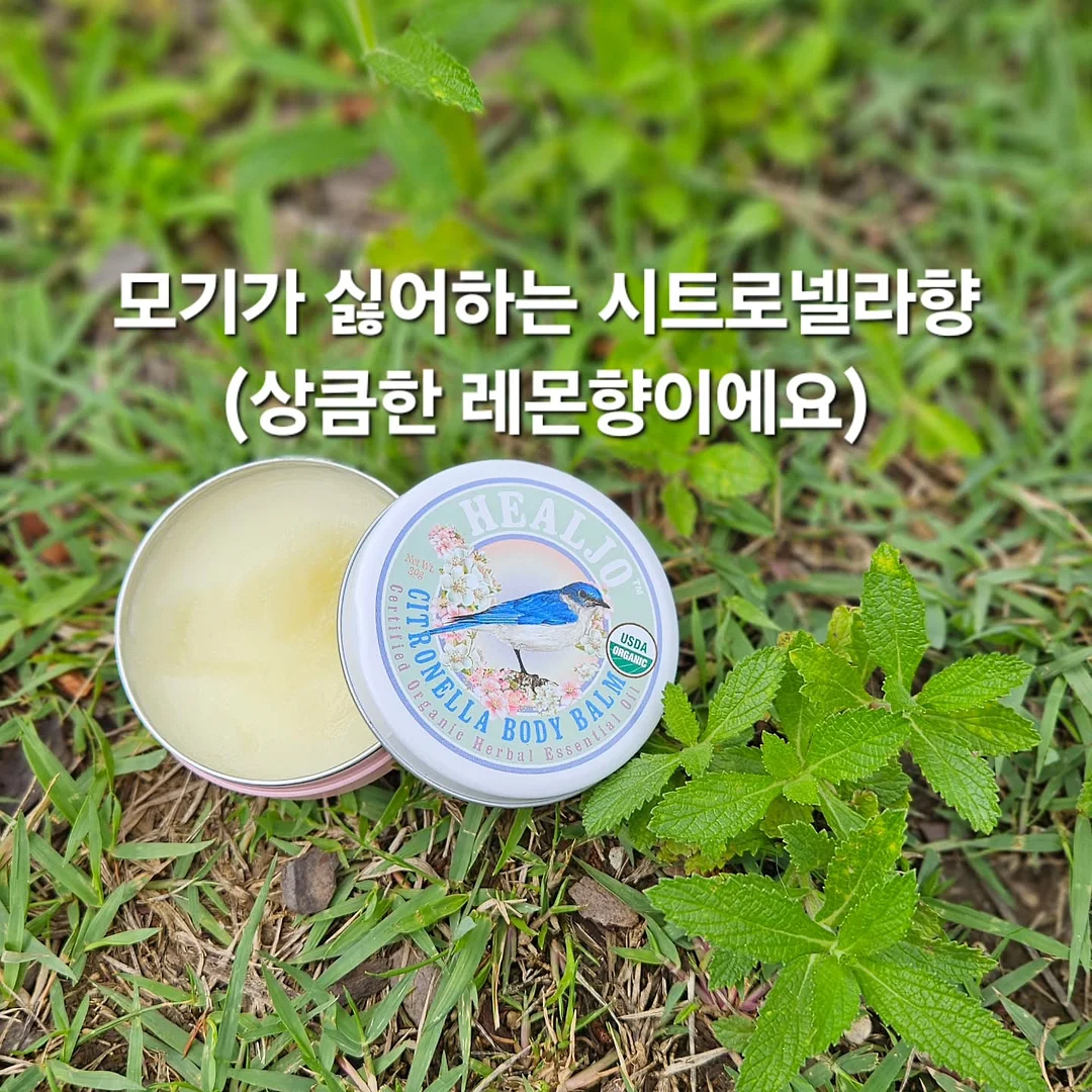 수익화 교육 7
