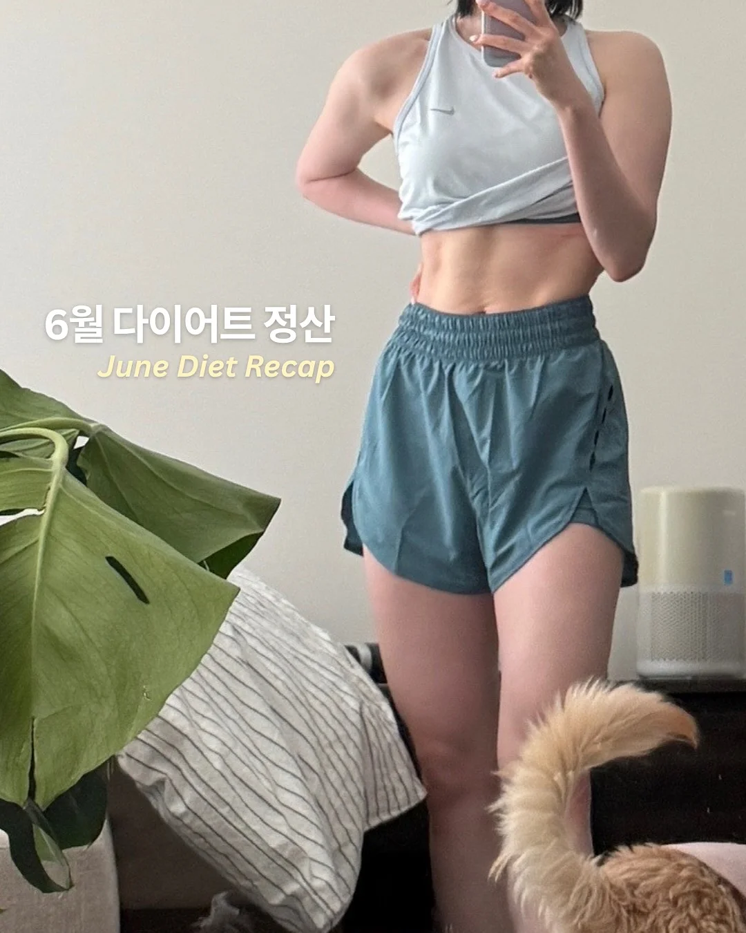 하객룩 코디 1