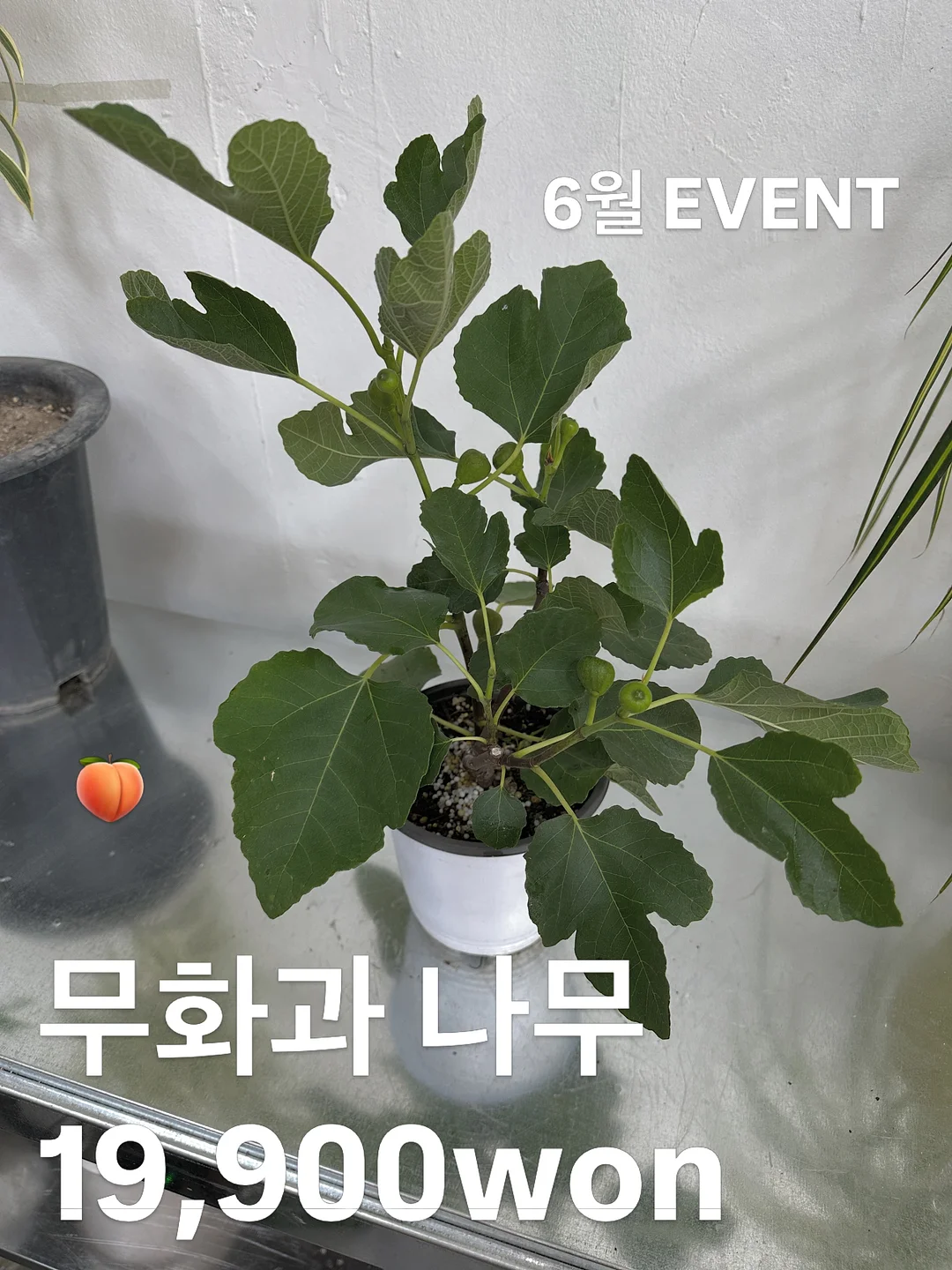 학생 커플링 1