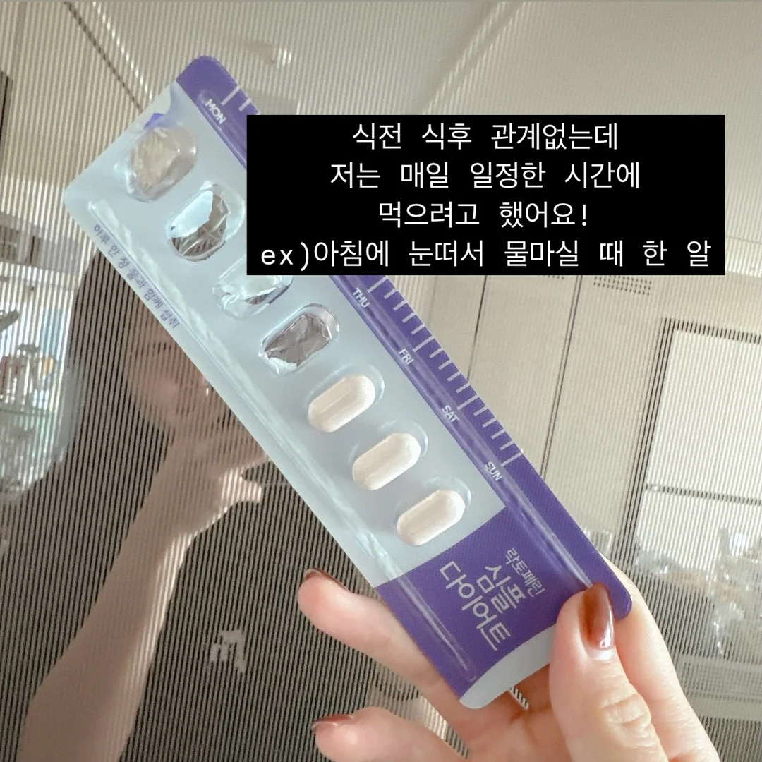 마린룩 컬렉션 6