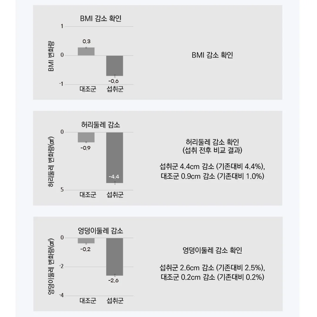 마린룩 컬렉션 10