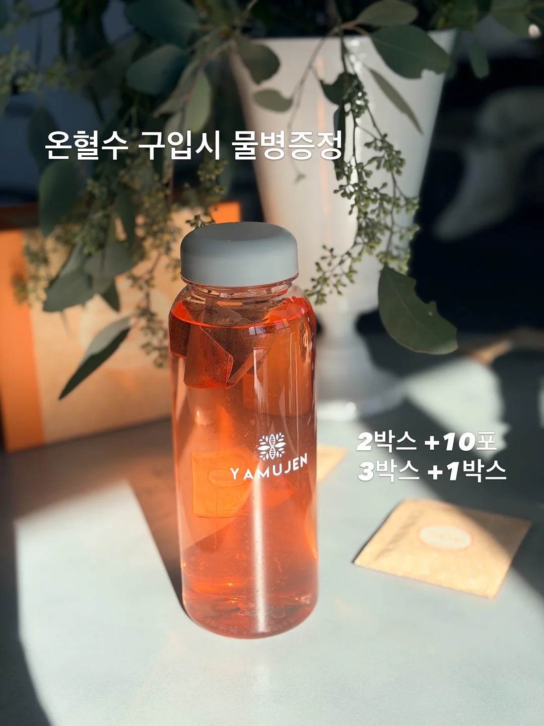ABC 해독주스 1