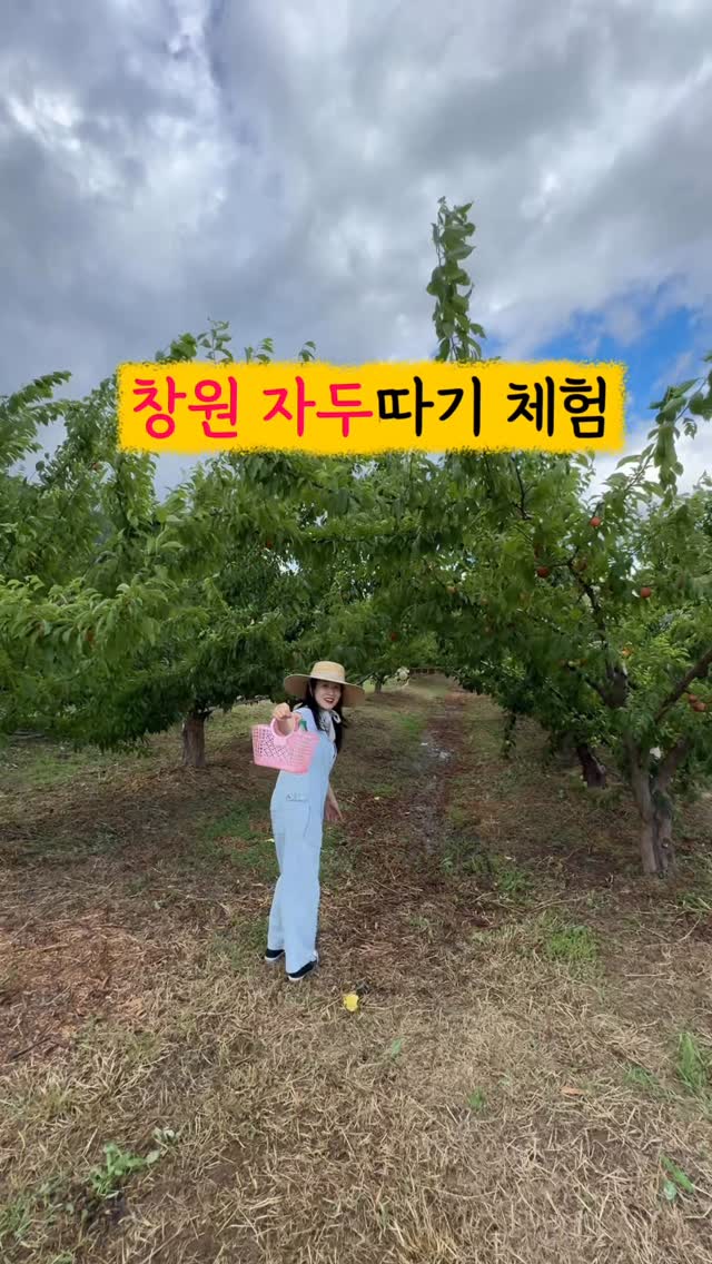 다용도 포켓