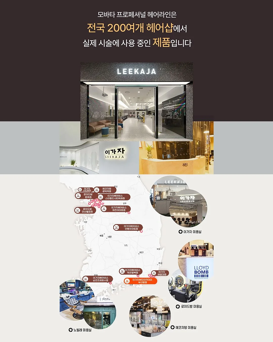 마늘 다지기 6