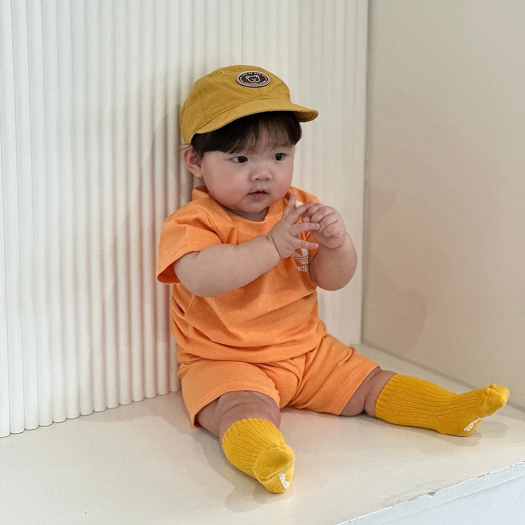 페머 속지 2