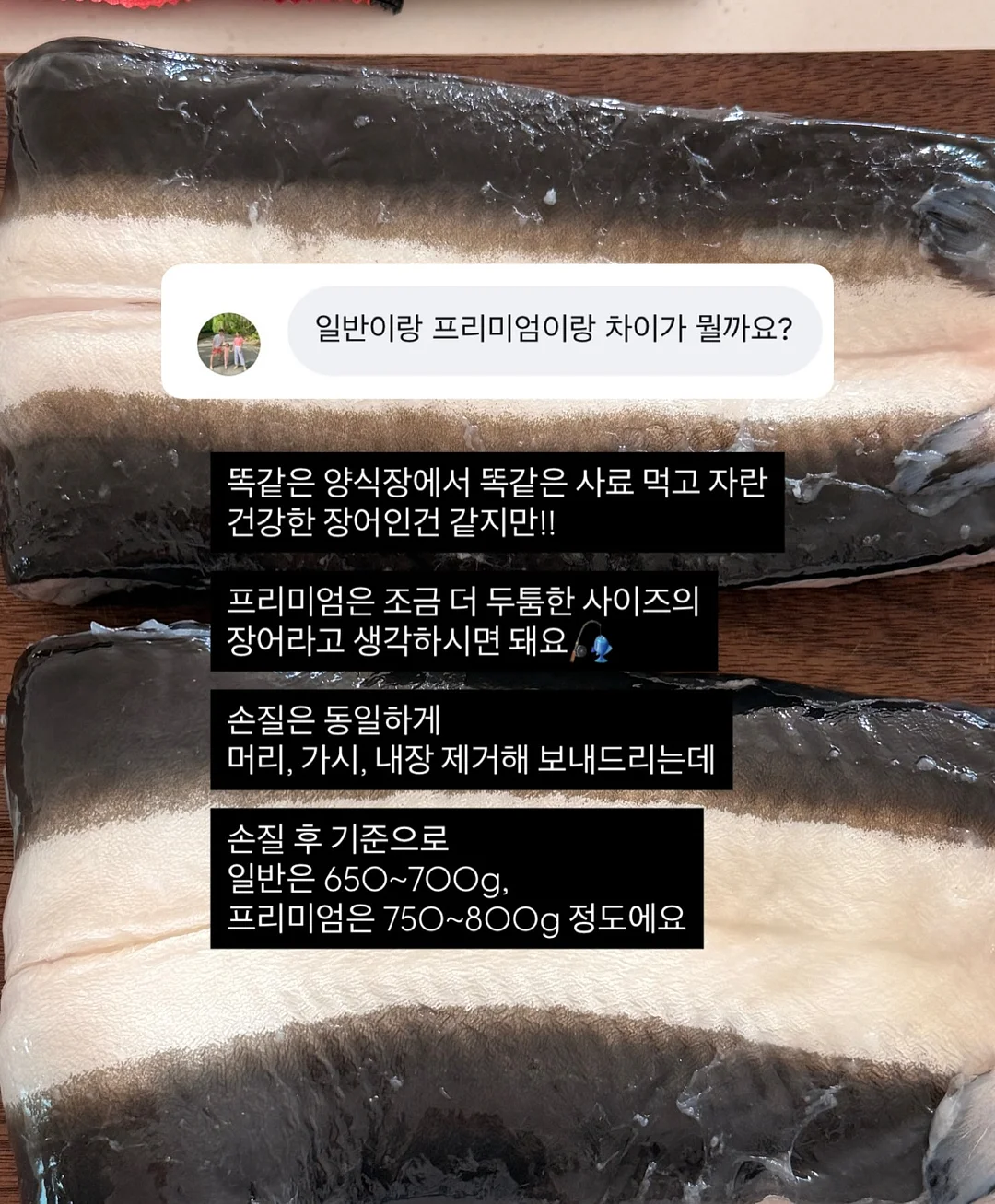 스테츠 스모키젯 더블 에어프라이어 14