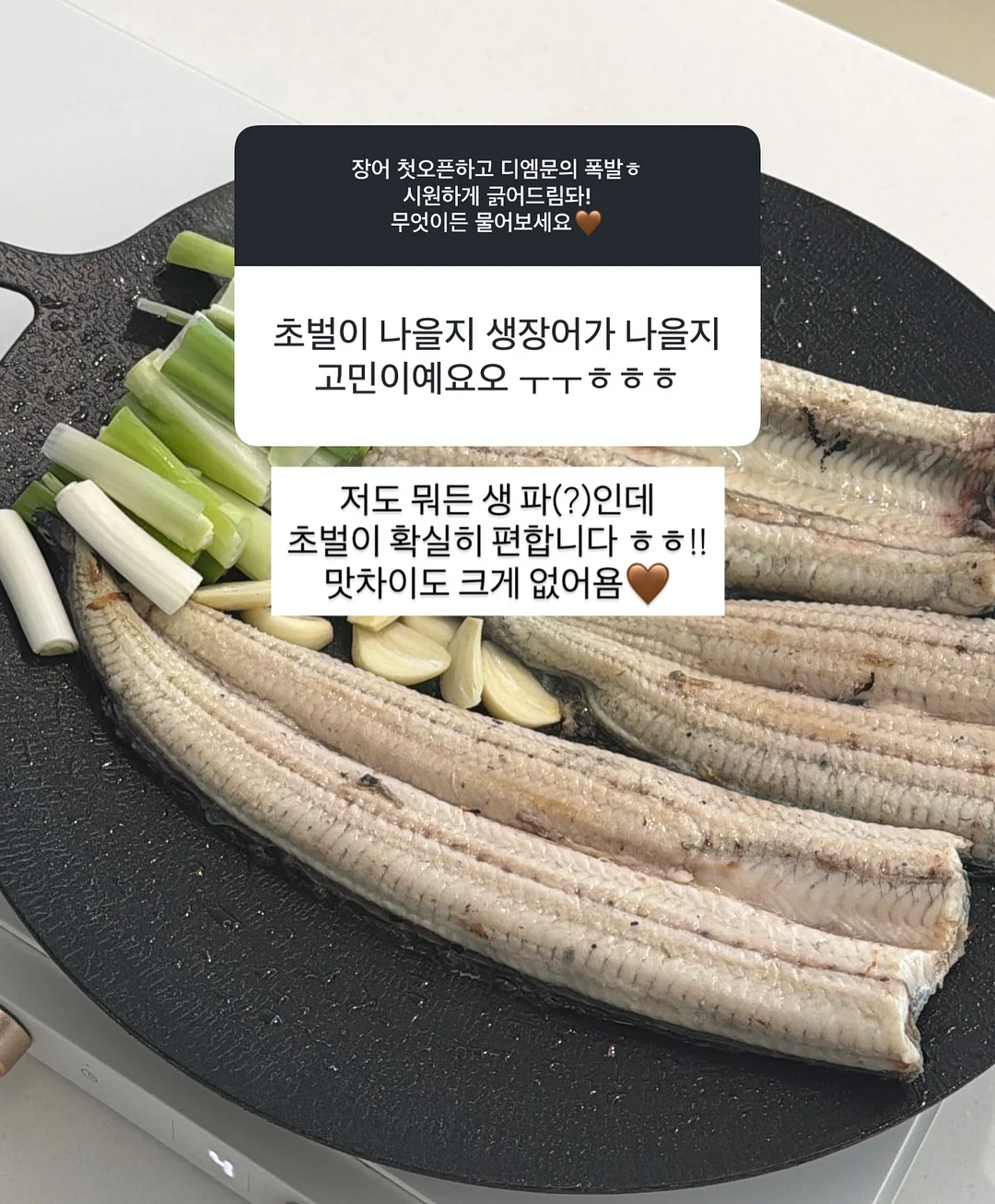 스테츠 스모키젯 더블 에어프라이어 10