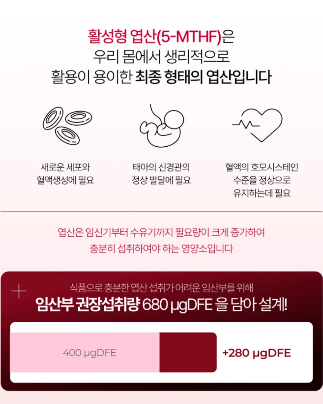 Foster 인덕션 쿡탑 6