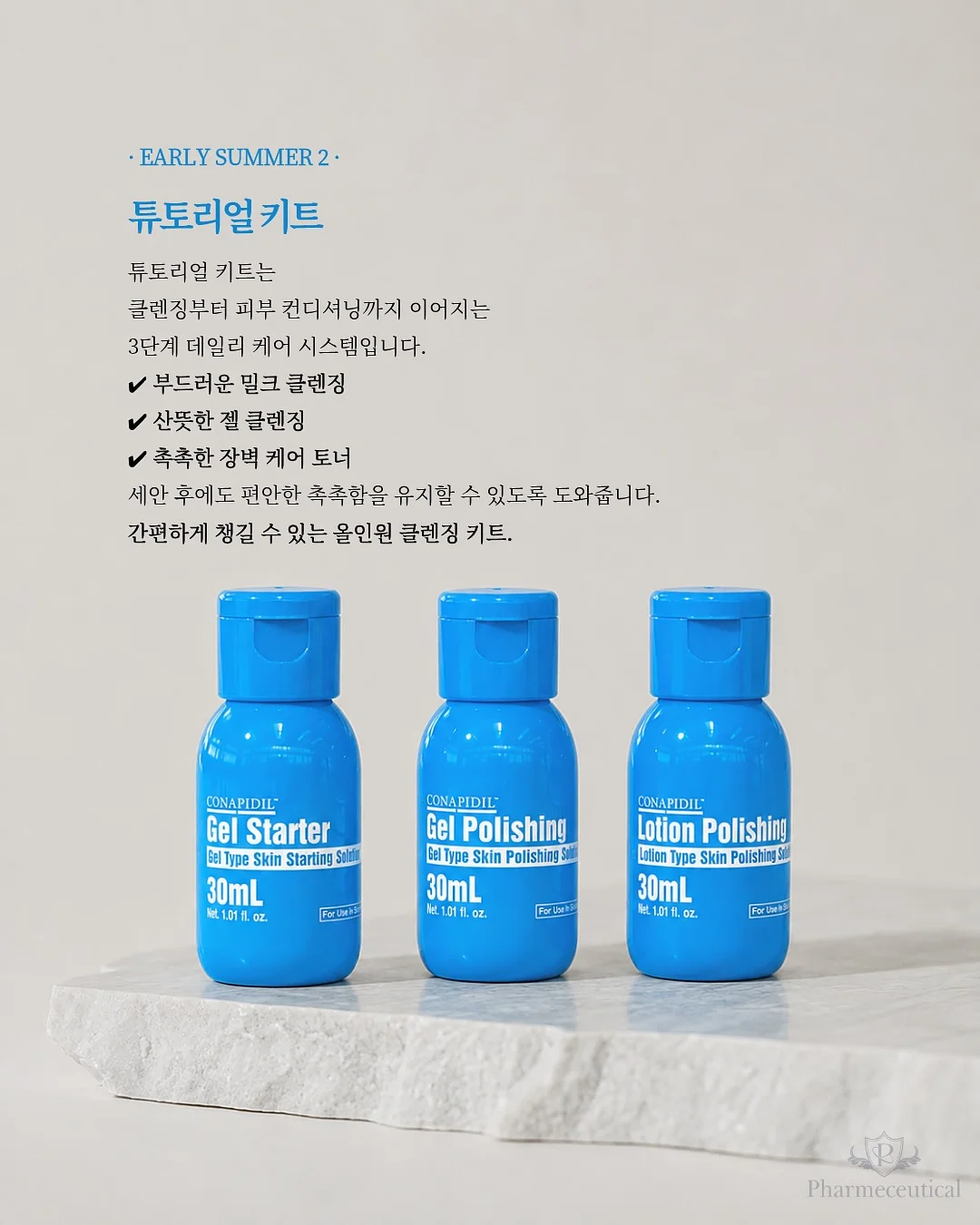서양난 4