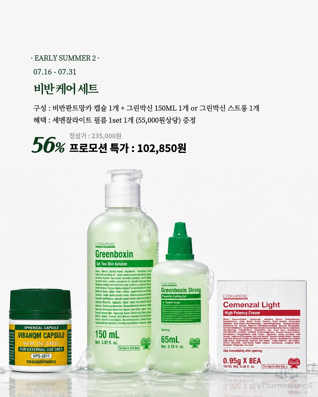 서양난 5