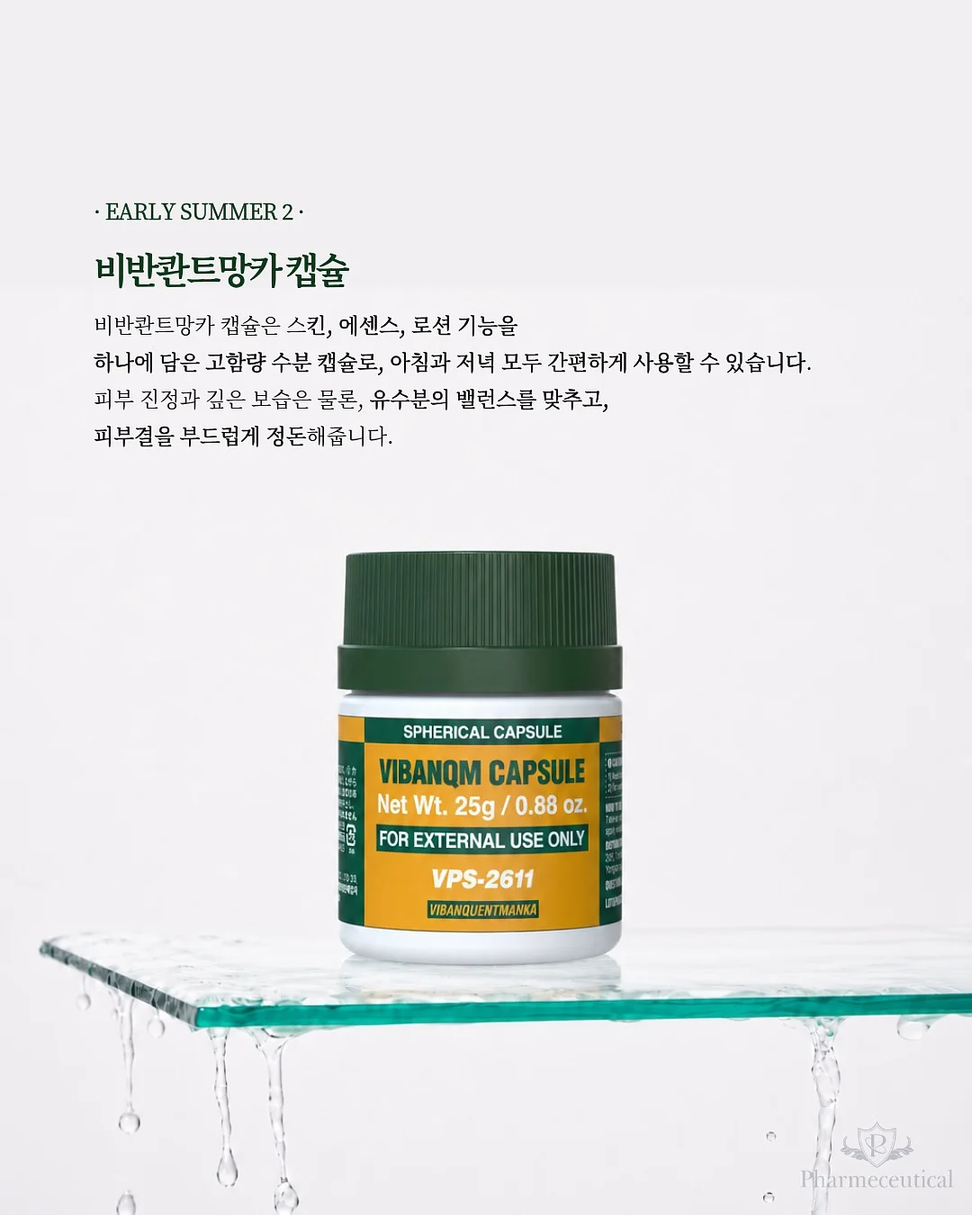서양난 6