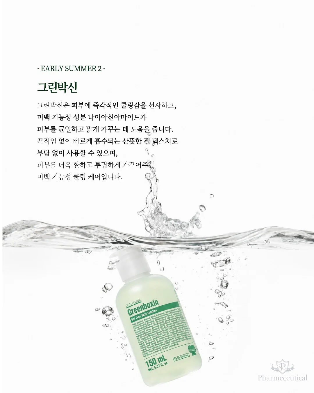 서양난 8