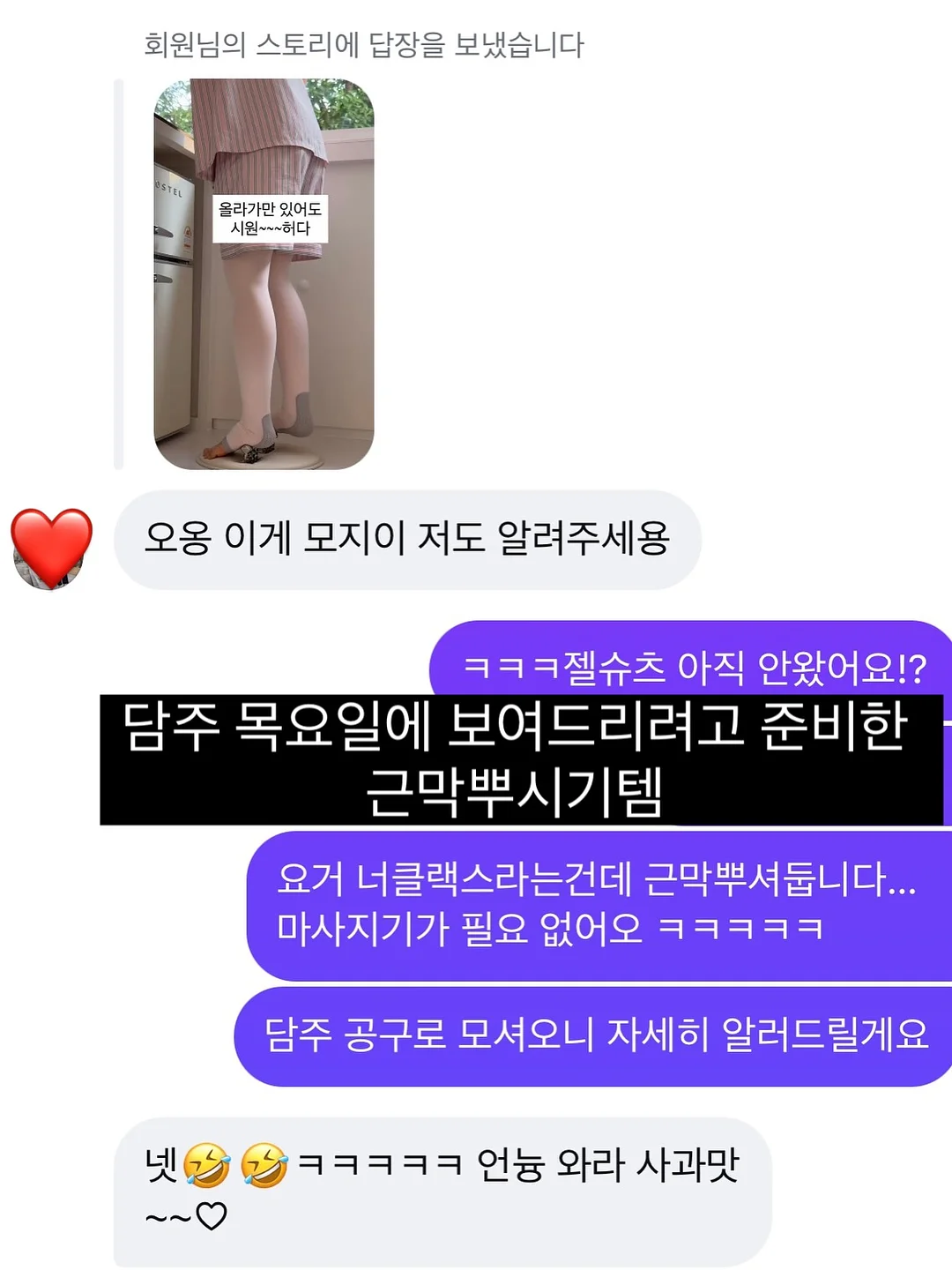 셋업 6