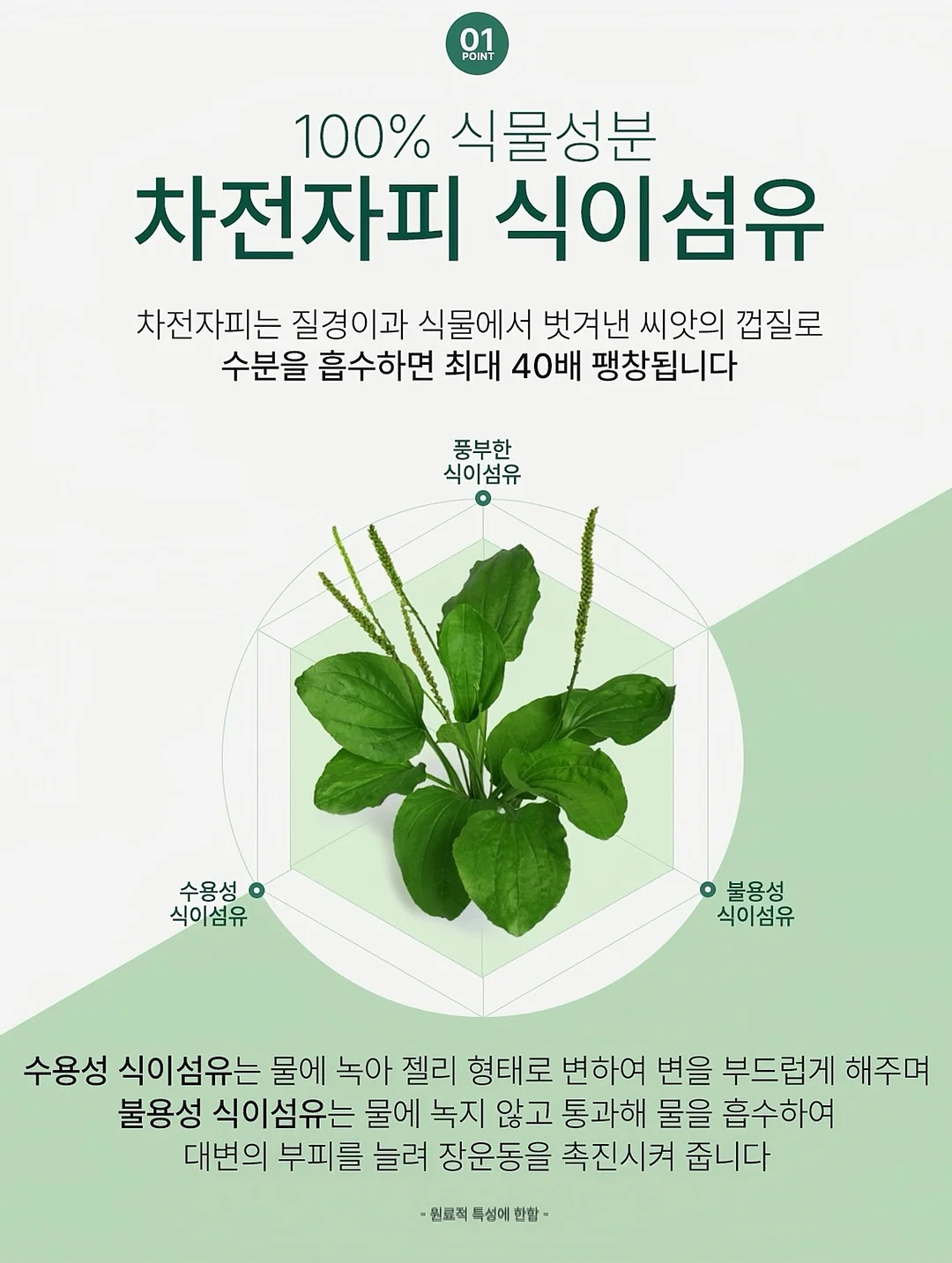 샤넬 루이비통 프라다 페라가모 가방 7