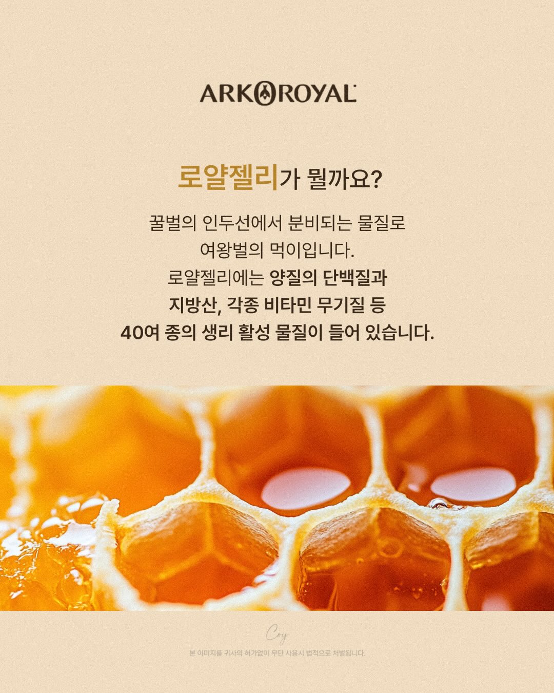 퍼기 큐브 다담아 용기 토핑 스파츌라 11