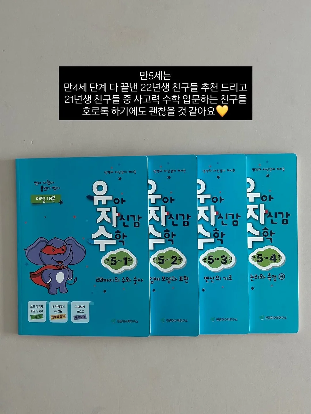 다미뇽 레이스 에이프런 11