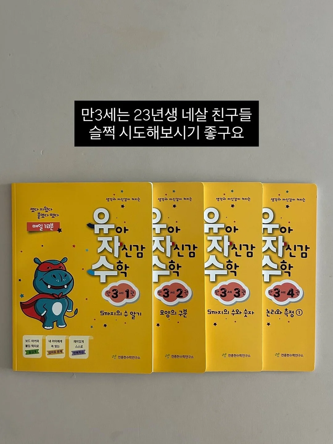 다미뇽 레이스 에이프런 9