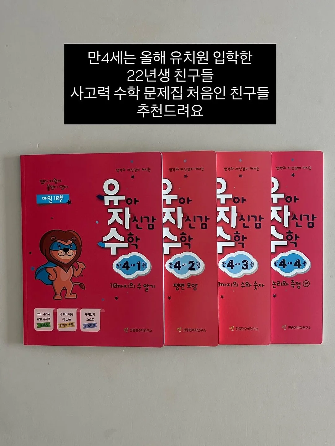다미뇽 레이스 에이프런 10