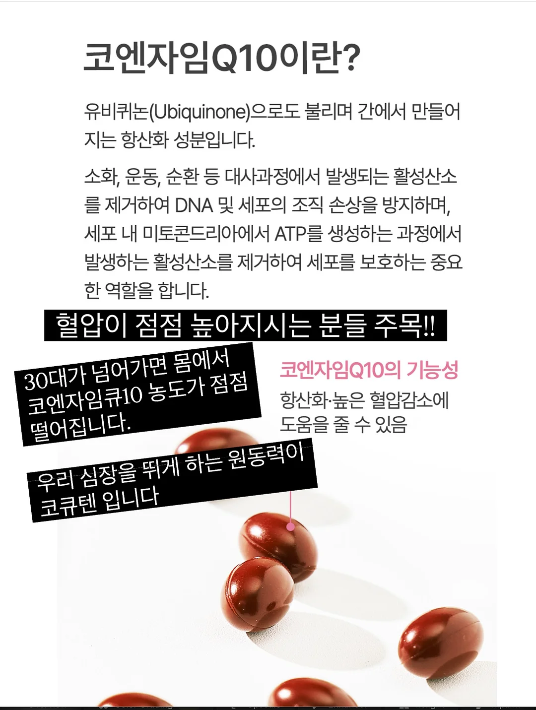 마이크로시멘트교육 2