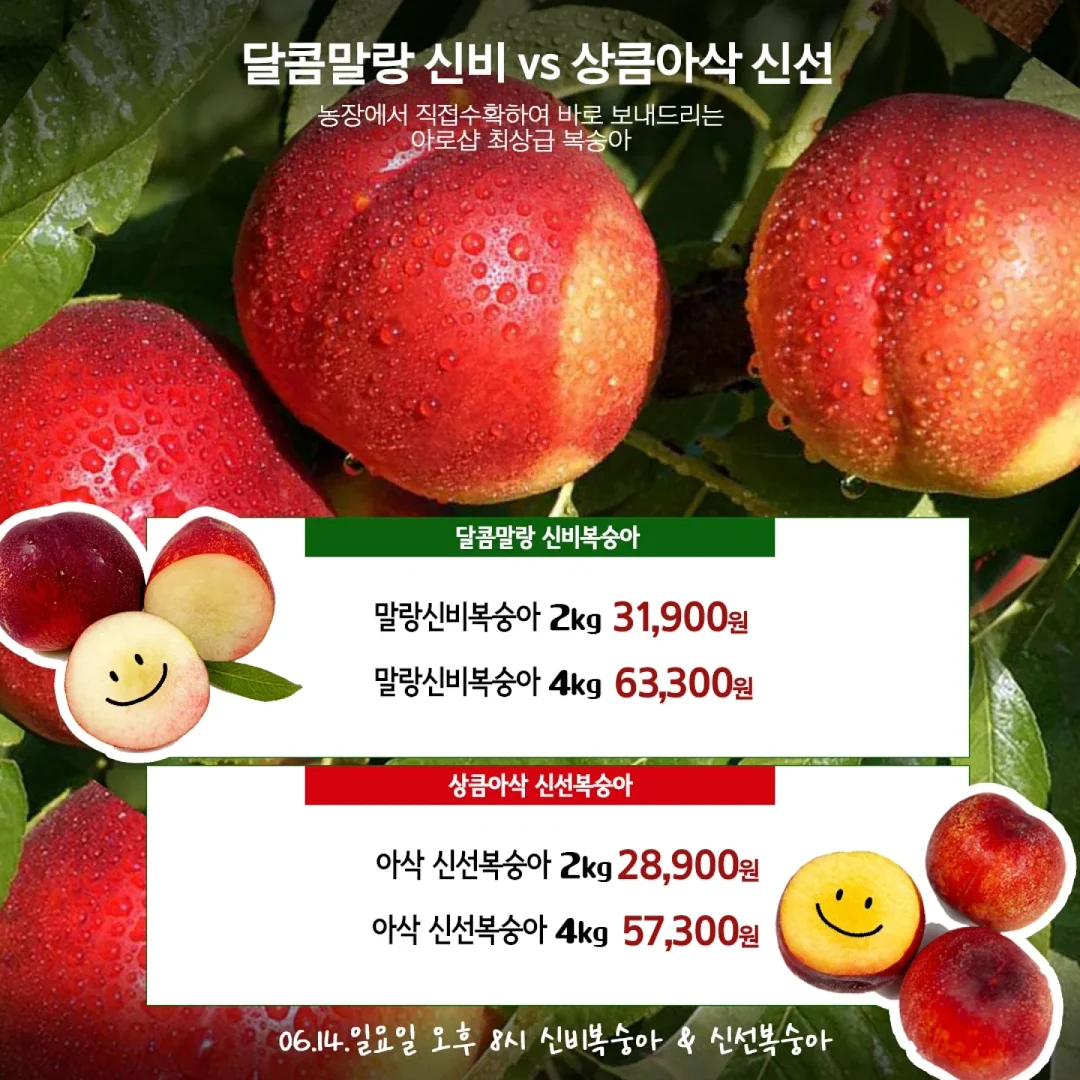 왕점보 골드키위 2
