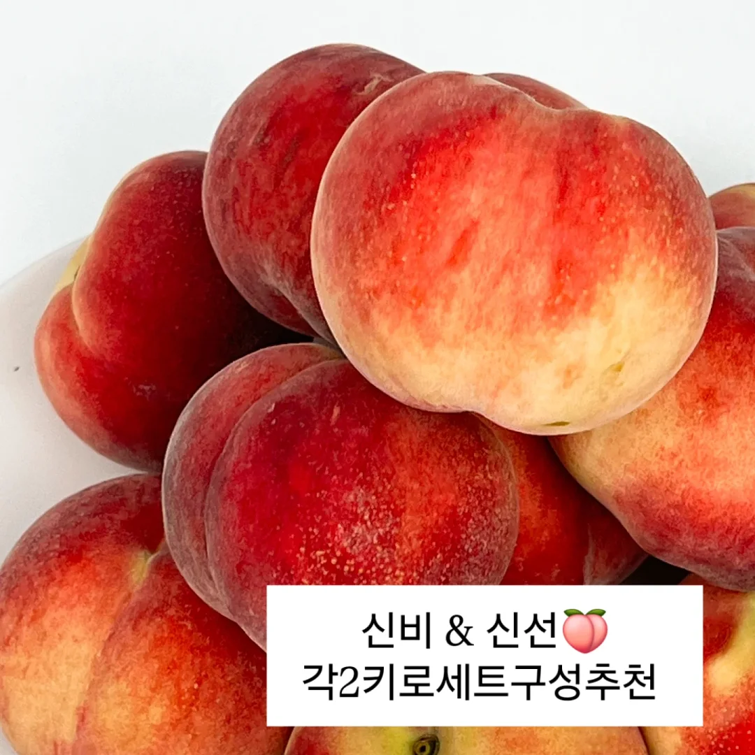 왕점보 골드키위 5