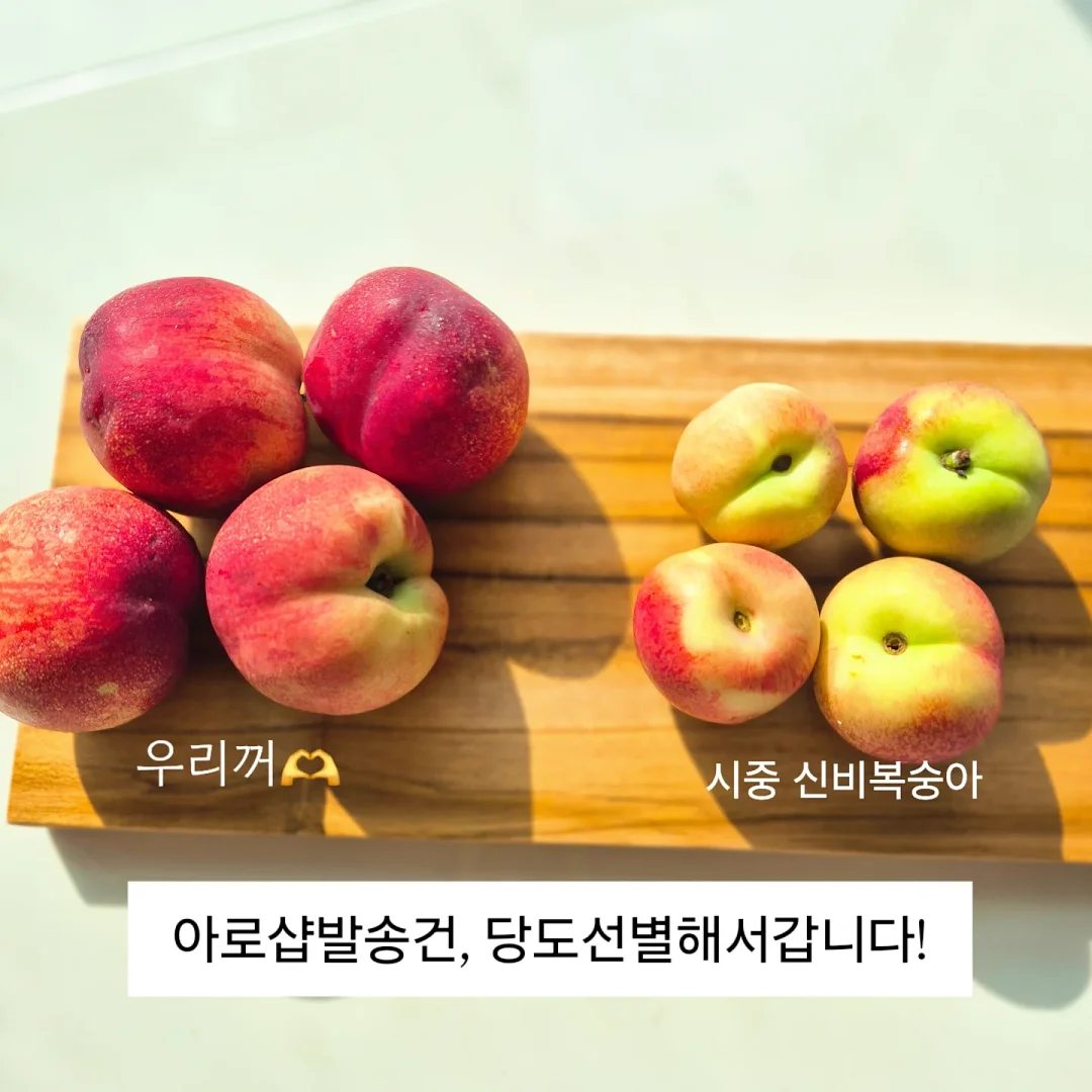 왕점보 골드키위 6