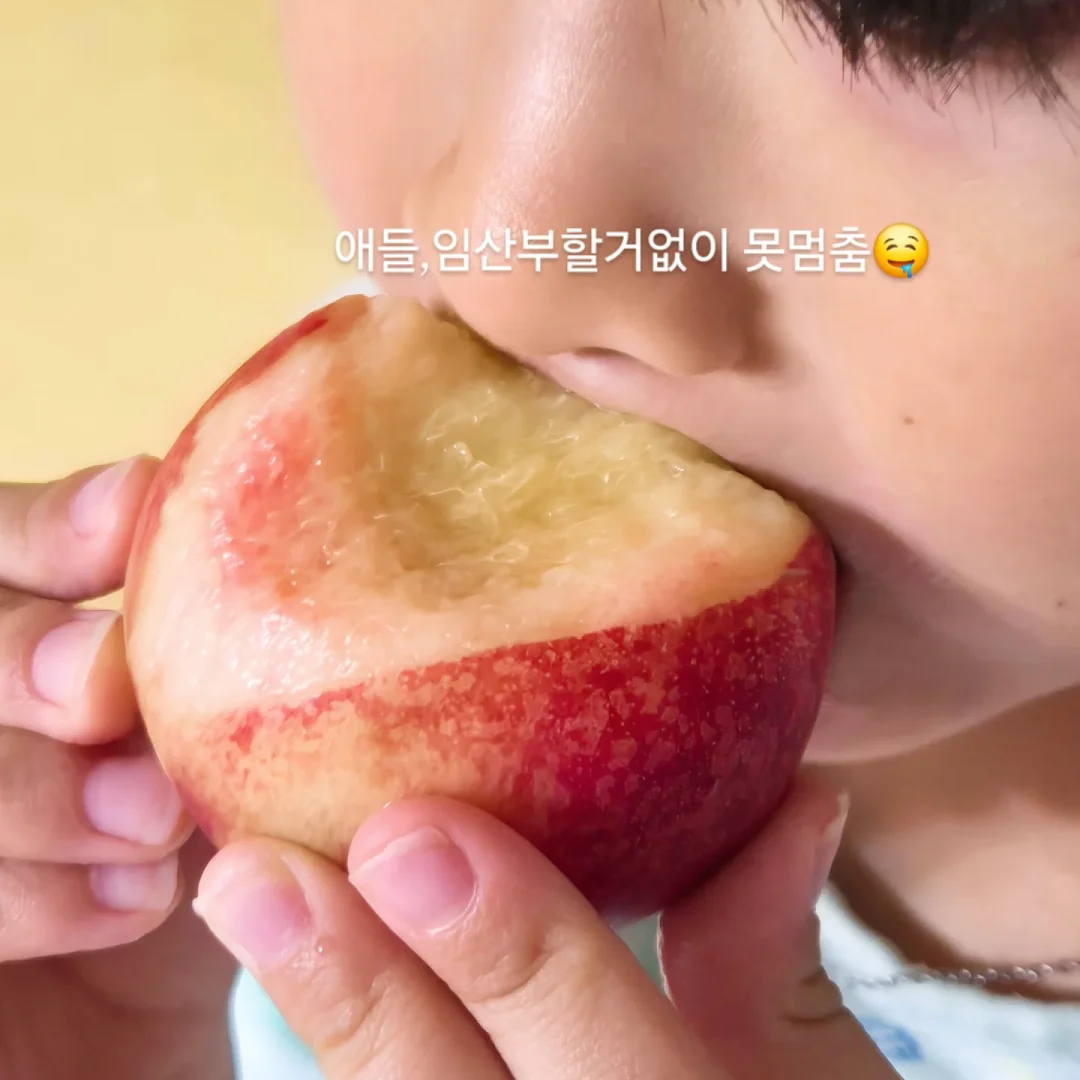 왕점보 골드키위 8
