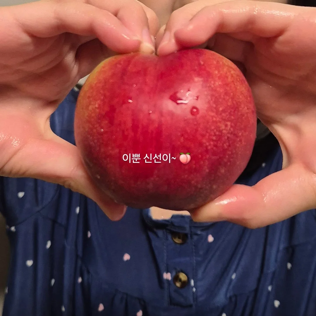 왕점보 골드키위 9