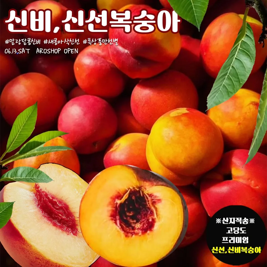 왕점보 골드키위 10