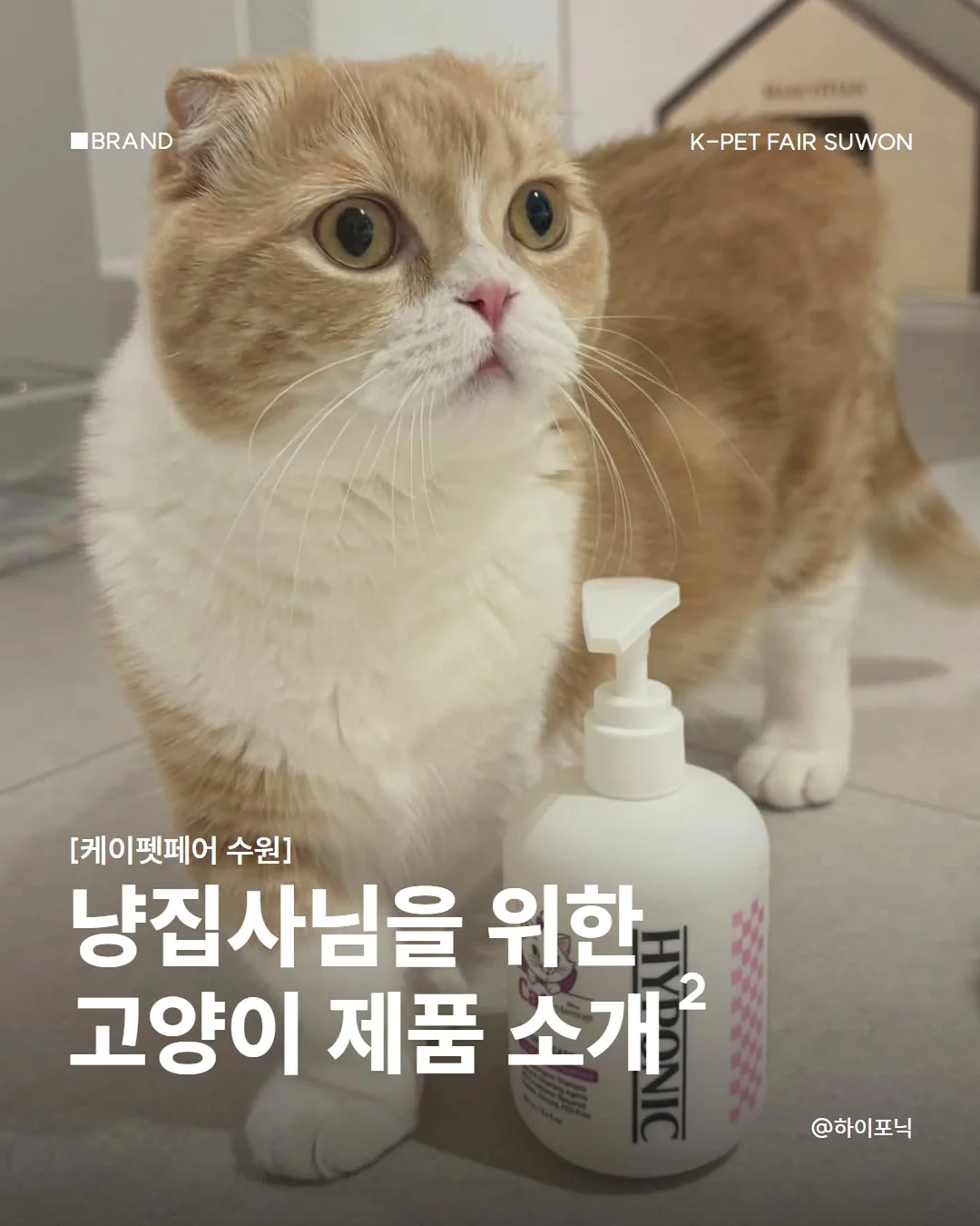 애플비 스티커 워크북 1
