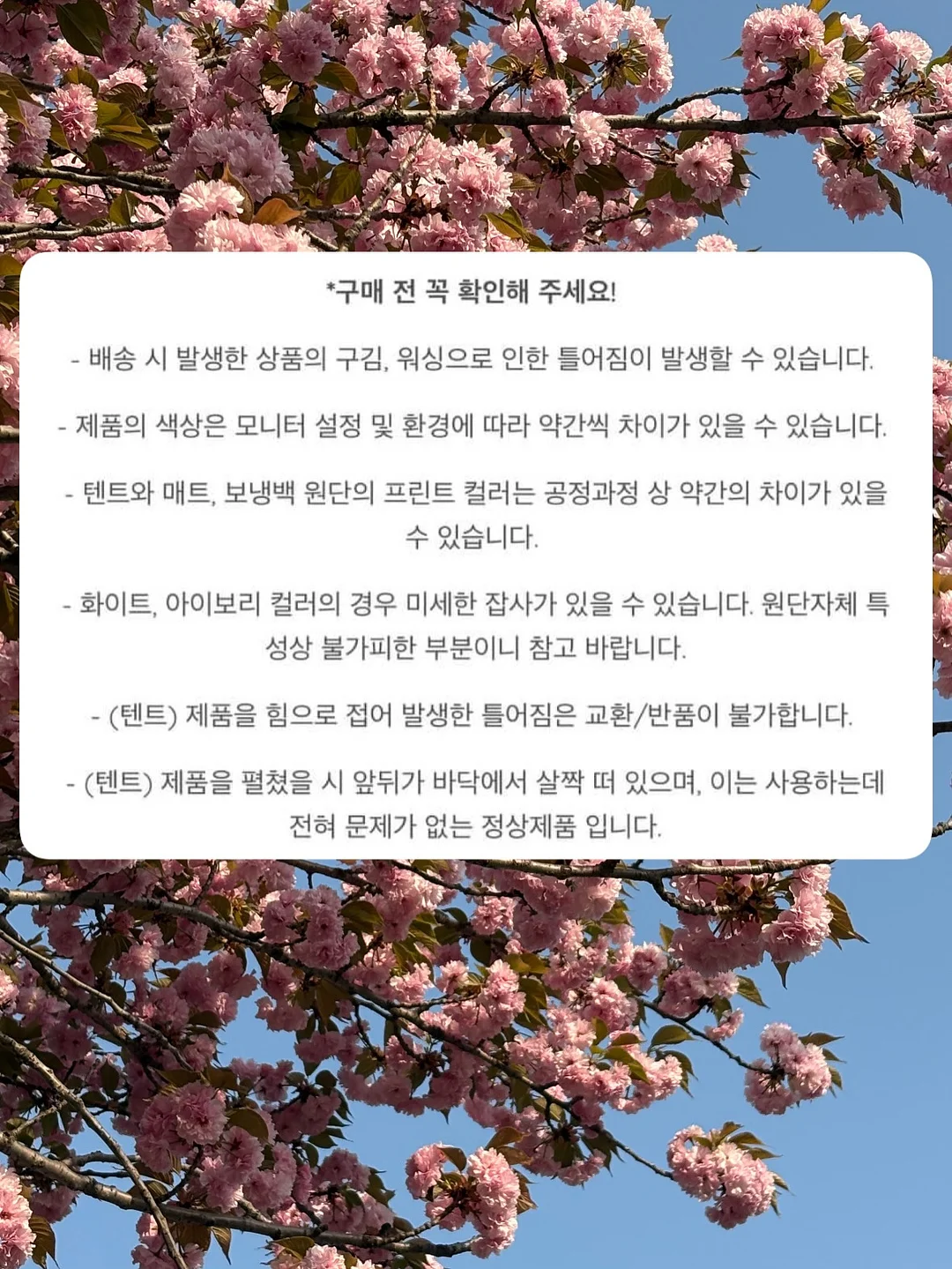 발리 승마 선셋 스냅 촬영 17