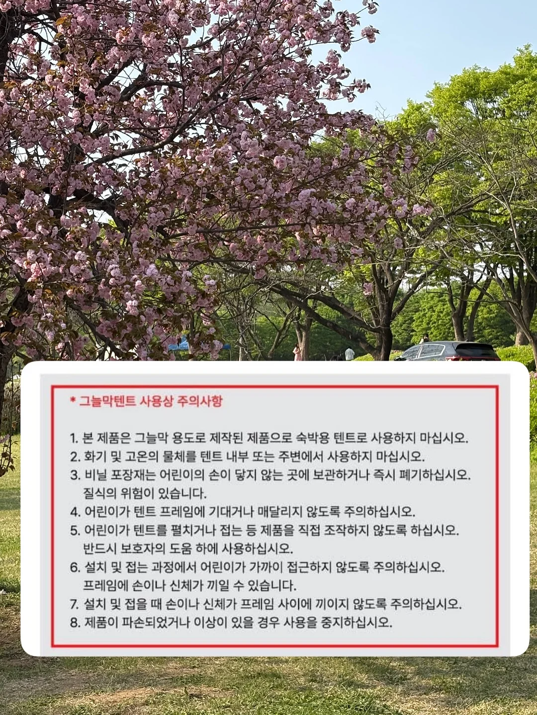발리 승마 선셋 스냅 촬영 19