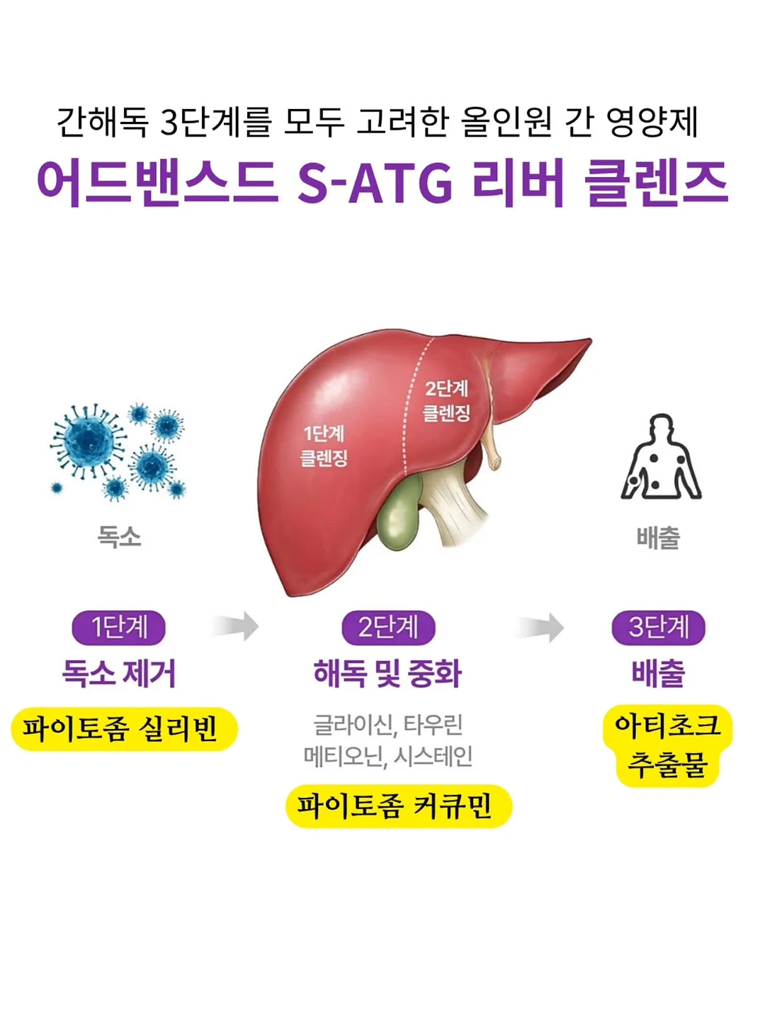 동전육수 5