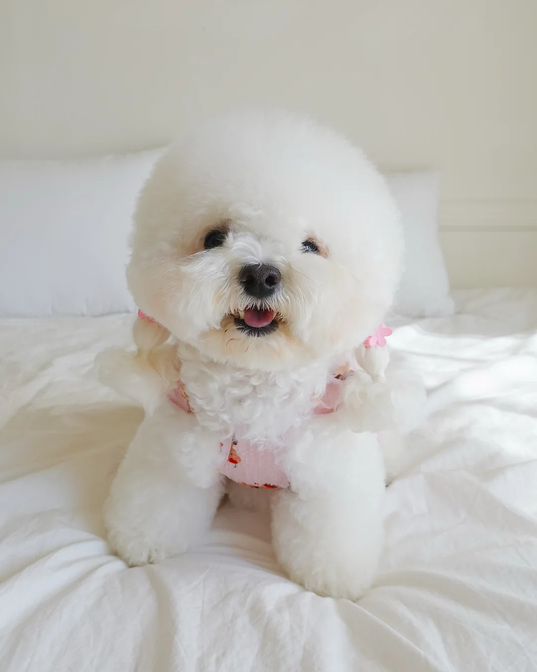 아기 동그랑땡 레시피 4