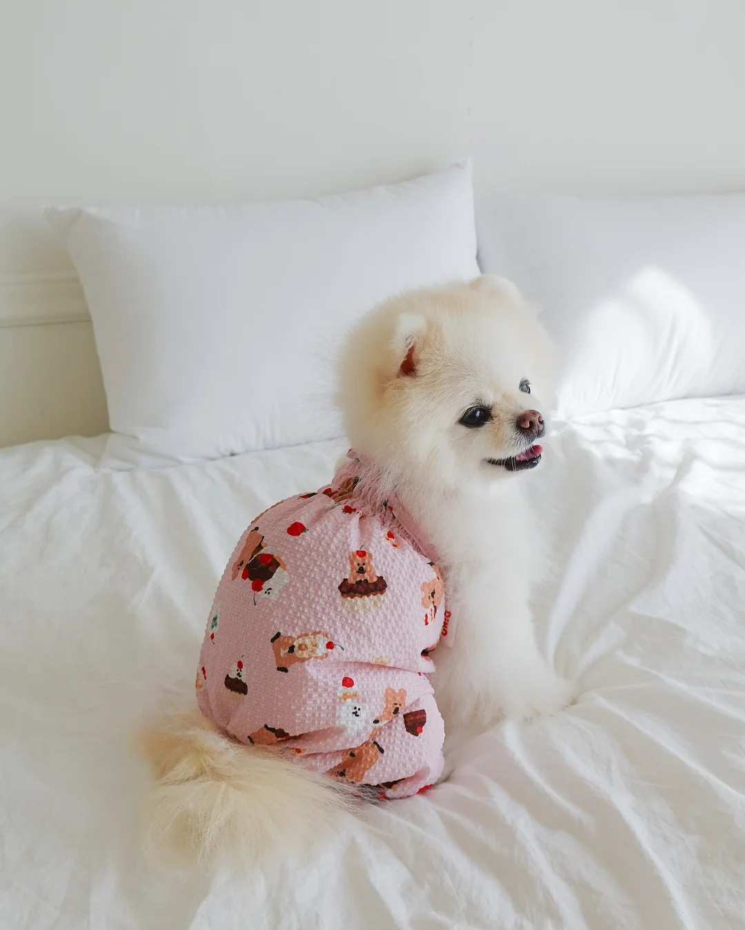 아기 동그랑땡 레시피 5
