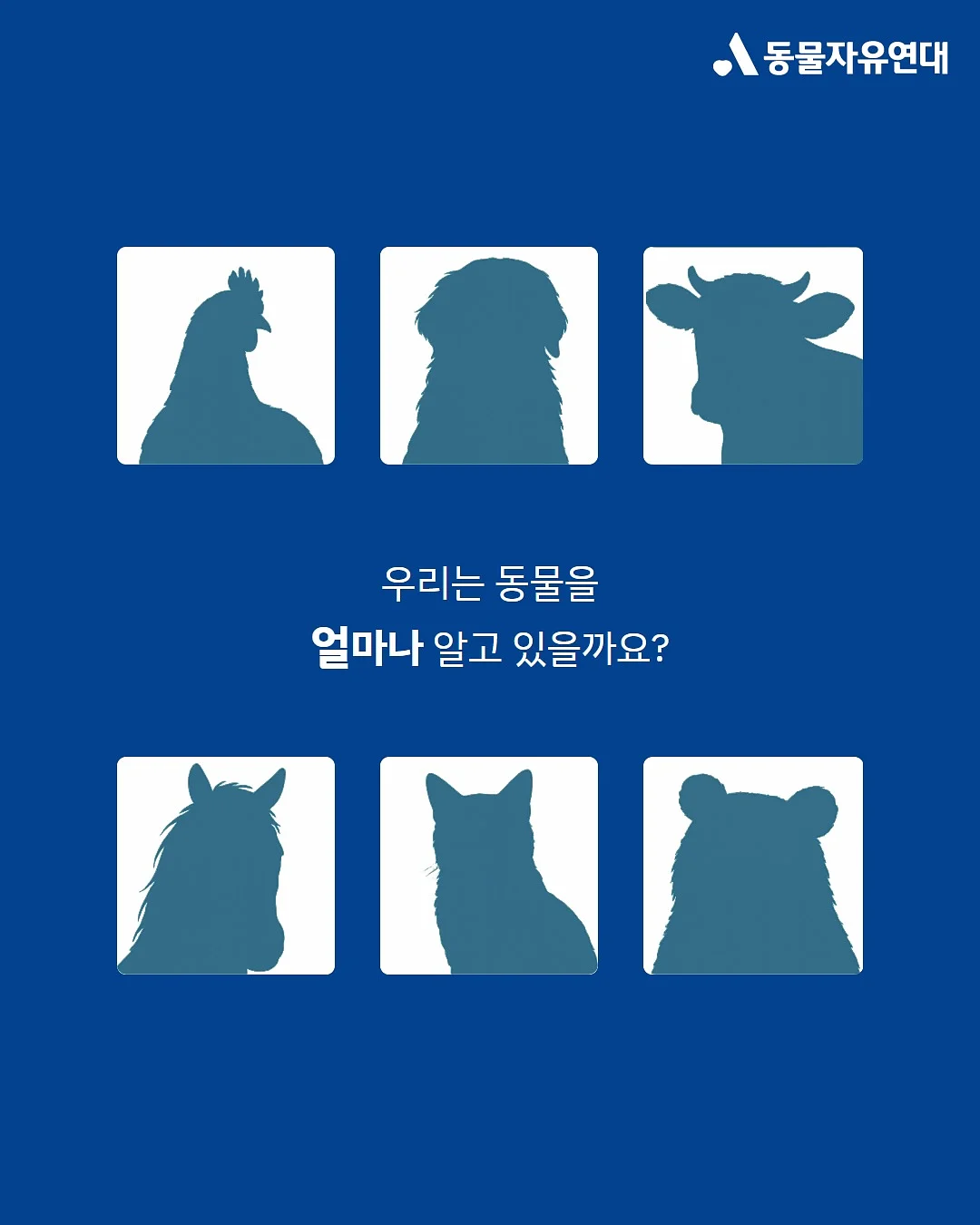 닥터파이토 오메가3 2